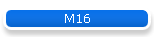 M16